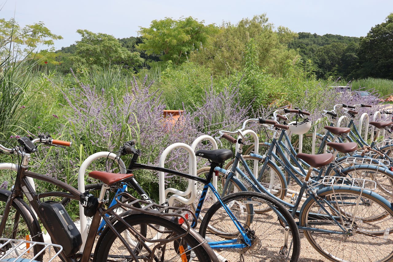 How to Put Your Bike on an Ebike Rack